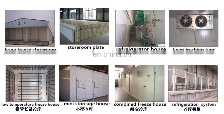 frozen beef cold storage cold chain cold warehouse