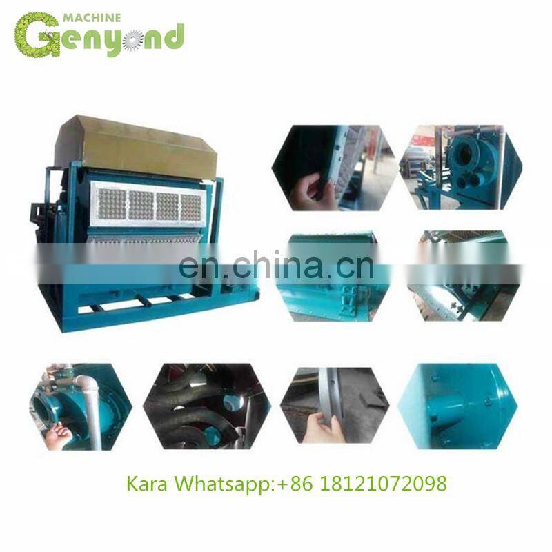 rotary egg tray machine in shanghai factory