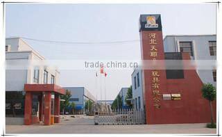 Hebei Tianshun Children Toys Co., Ltd. company overview - view 1