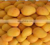 kiwi peeling machine With Promotional Price