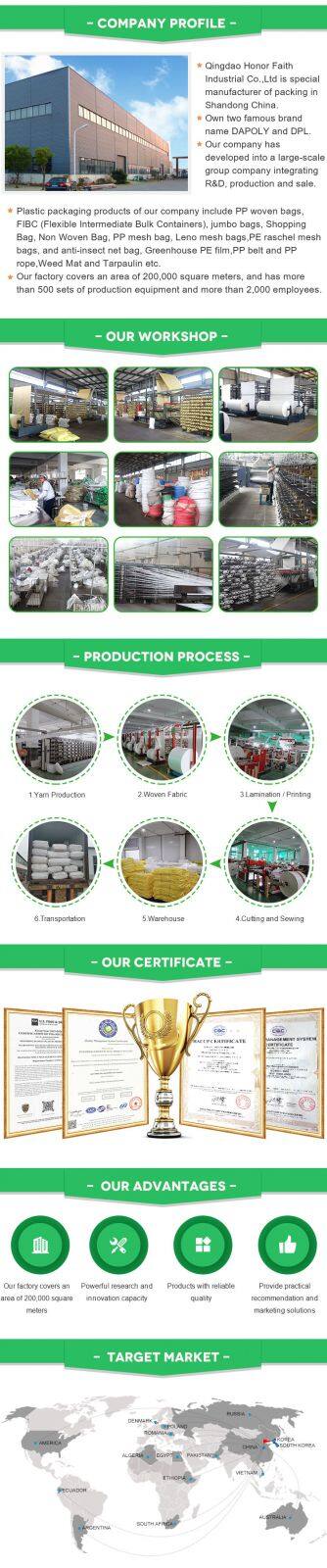 Dapoly 100% Virgin Material pp Tubular Leno Mesh Bag Mesh Bag for Oranges