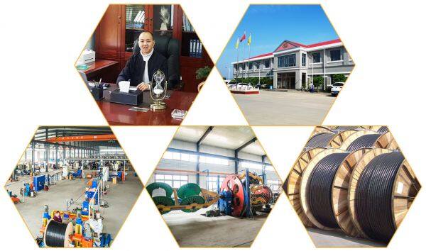 Ruitian Wire&Cable Co., Ltd. company overview - view 1