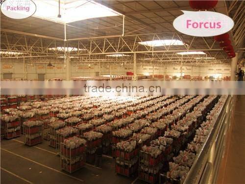 Yunnan Focus Flower Planting Co., Ltd. company overview - view 2
