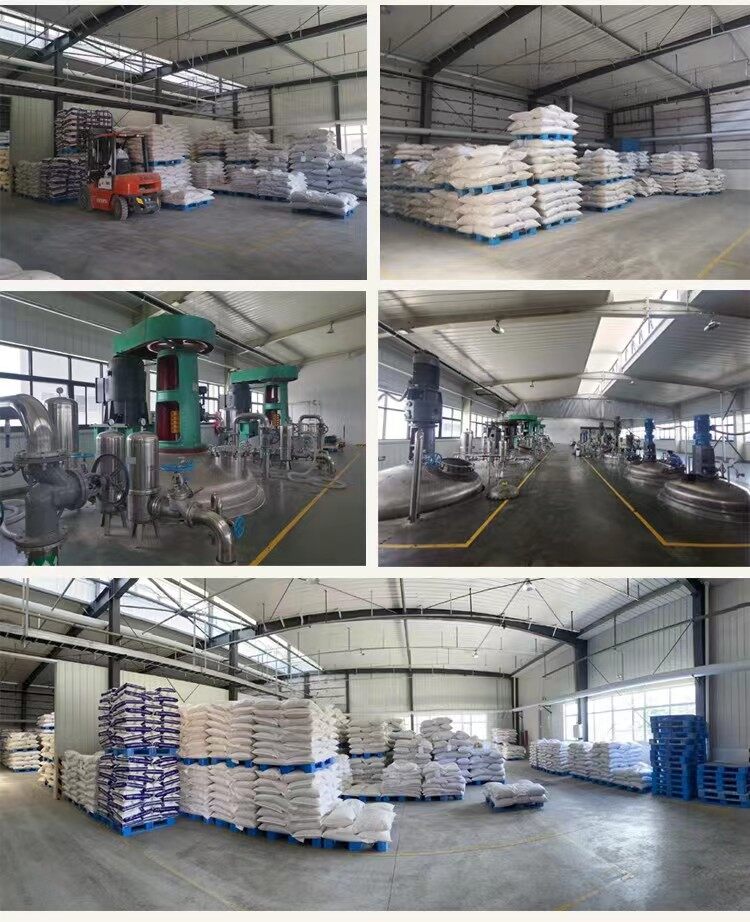 Shijiazhuang Standard Chemicals Co.ltd company overview - view 1