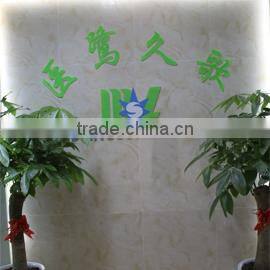 Guangzhou Medsinglong Medical Equipment Co., Ltd. company overview - view 3