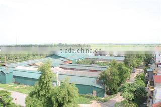 Long Luu Produce And Trading Company Limited company overview - view 3