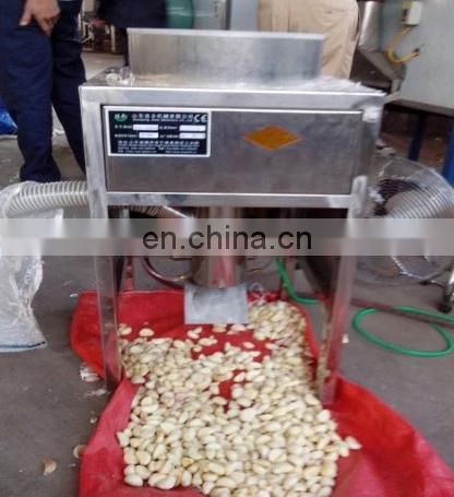 commercial use garlic onion peeling peeler machine in dry way
