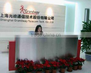 Shanghai Grandway Telecom Tech. Co., Ltd. company overview - view 1