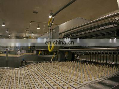 China complete Industrial ice cream making machines