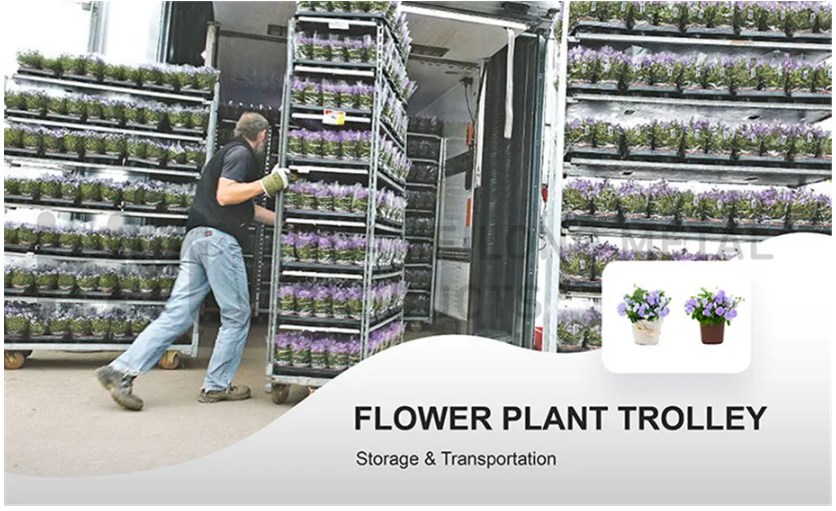 ScreenShot_2026-04-29_102907_523