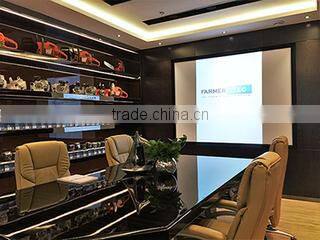 Jinhua Farmertec Power Machinery Manufacture Co., Ltd. company overview - view 3