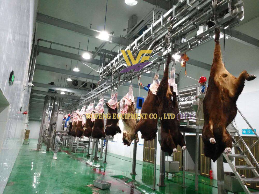 WFA Cattle Carcass Convyor (6).jpg