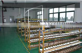 Foshan Xinruilai Lighting & Electrical Co., Ltd. company overview - view 3
