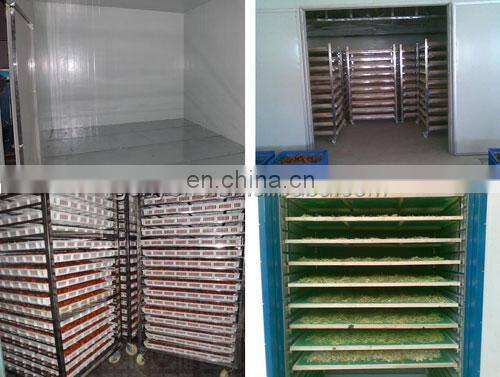 machine to dry fruits/solar fruit drying machine/industrial fruit drying machine