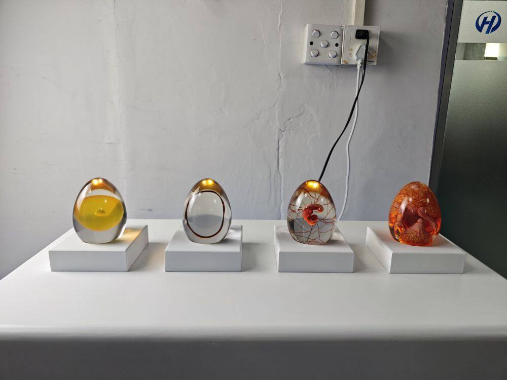 鸡蛋孵化演示过程模型 (10)