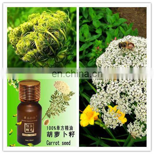 high efficient cumin/angled bittersweet/ chili/ suaeda glauca/burdock seed oil extractor