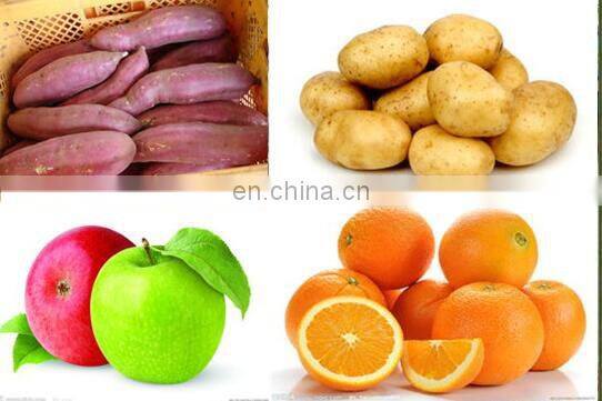 root vegetable ginger potato peeling machine