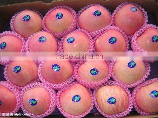 Tianshui Kairui Trade Co., Ltd. company overview - view 2