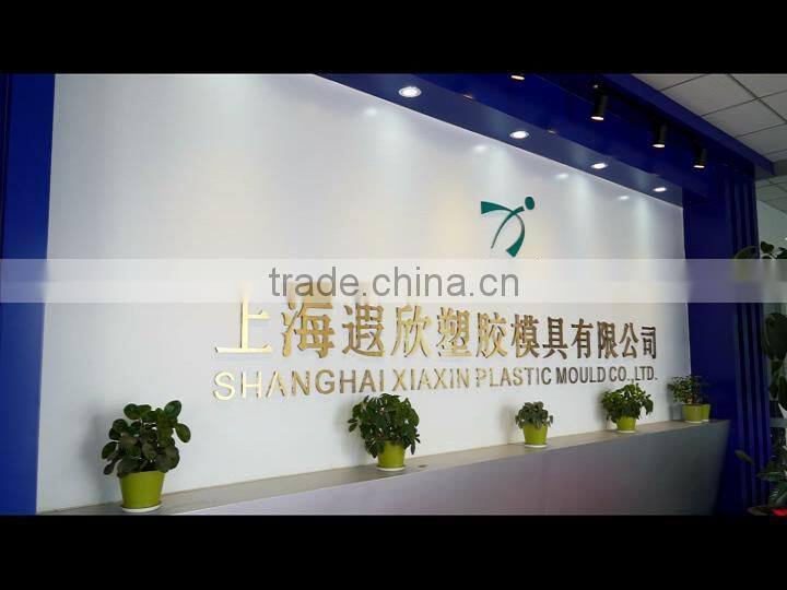 Shanghai Xiaxin Plastic Mould Co., Ltd. company overview - view 1