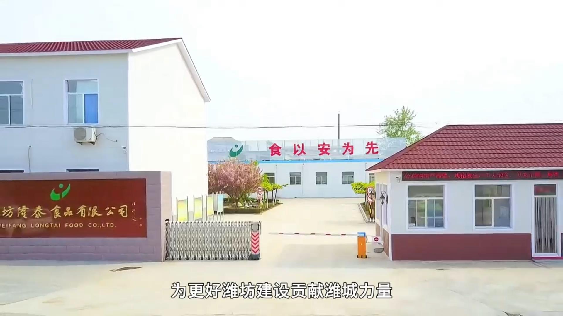 Weifang Longtai Food Co., Ltd company overview - view 1