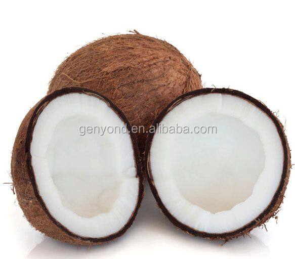 Fresh Coconut Water Extracting Machine / Coconut Juice Processing Machine