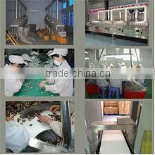 Lianfeng (Suizhou) Food Co., Ltd. company overview - view 2