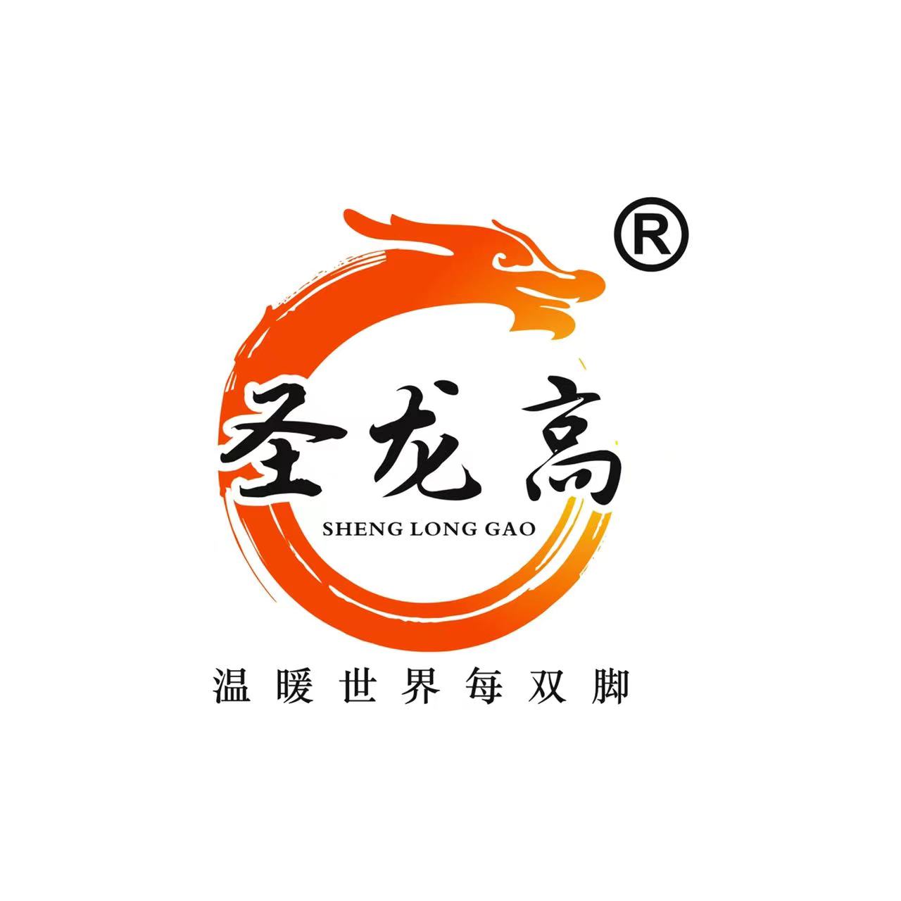 Sheng Long Gao Intelligent Equipment (Guangdong) Co., Ltd.