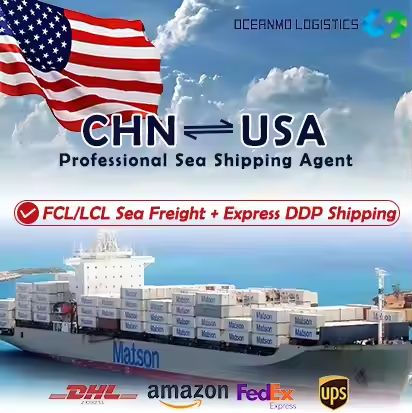 Shenzhen Oceanmo International Logistics Ltd company overview - view 3