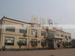 Shandong Lugang Machinery Co., Ltd. company overview - view 1