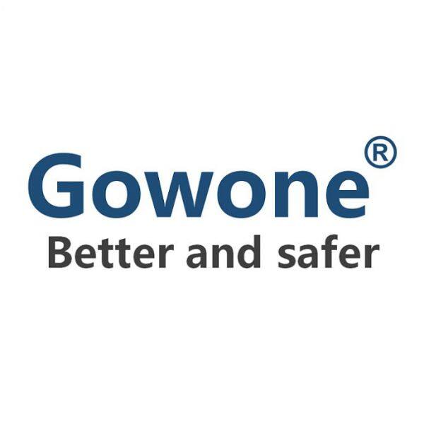 Gowone technology (shenzhen) co.Ltd