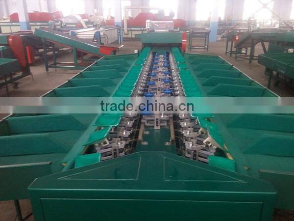 Fruit Sorting and Grading Machine for Apple, Tomato, Kiwi fruit, Potato, Pineapple