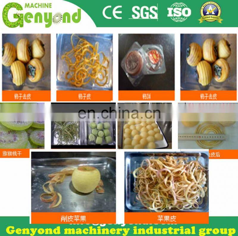 Hot Sale Fruit Peeling Machine for Apple/Orange/Kiwi/Lemon/Pear/Mango