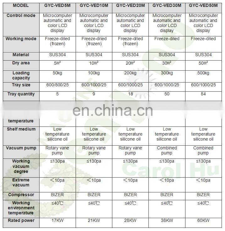 vacuum freeze dried food dragon fruit honey powder instant coffee durian strawberry raspberry flowers roses vegetable machine