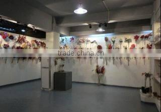 Shenzhen HYS Trading Co., Ltd. company overview - view 2