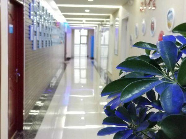 Shandong Cocoly Fertilizer Co.,Ltd. company overview - view 3