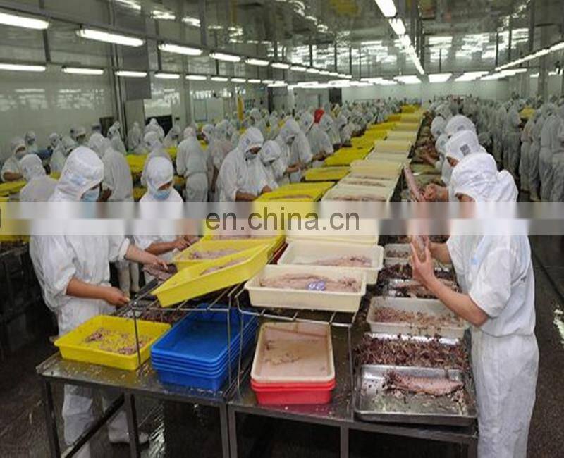 small scale sardine fish canning plant