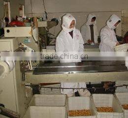 Shantou Mico Foodstuff Co., Ltd. company overview - view 3