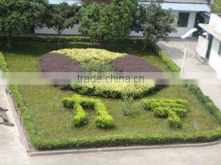 Anhui Liyu Computer Equipment Manu. Co., Ltd. company overview - view 3