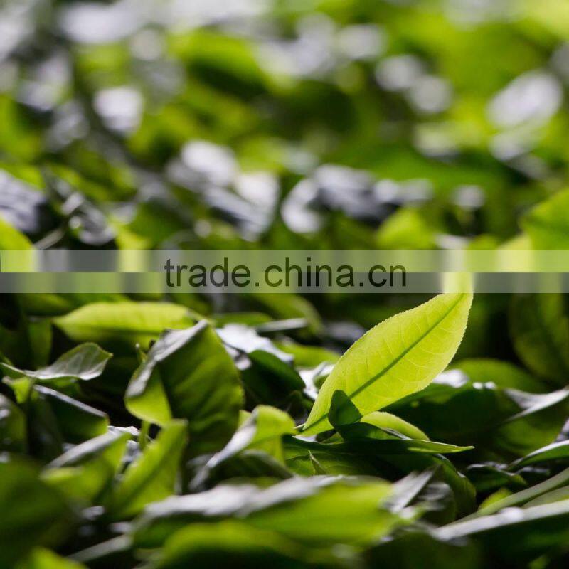 Agra Boutique Co., Ltd. company overview - view 3