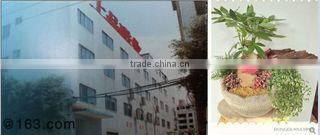 DG Shangpin Magnetic Electronics Co., Ltd. company overview - view 1