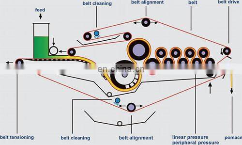 NFC fruit juice belt press extractor