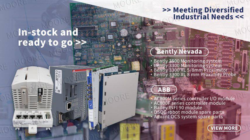 20250415-01MOORE (1)_副本.jpg