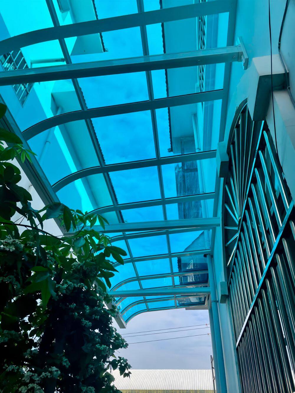 mmexport1749636233332