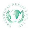 Greenworld nursery Co.,Ltd