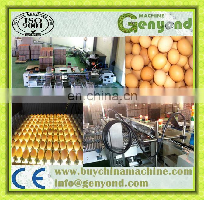 Hot sale egg grader/egg sorting machine/egg grading machine