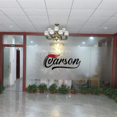 Dongguan Carson Castors Company company overview - view 1