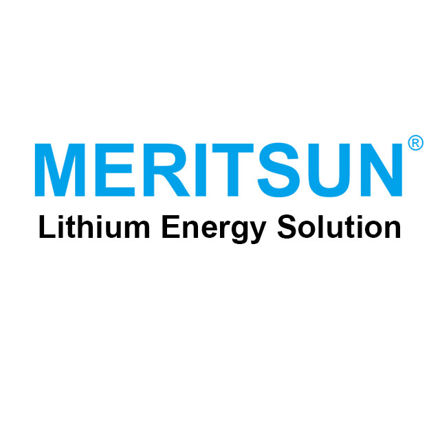 Guangzhou MeritSun Power Co., Ltd. company overview - view 1