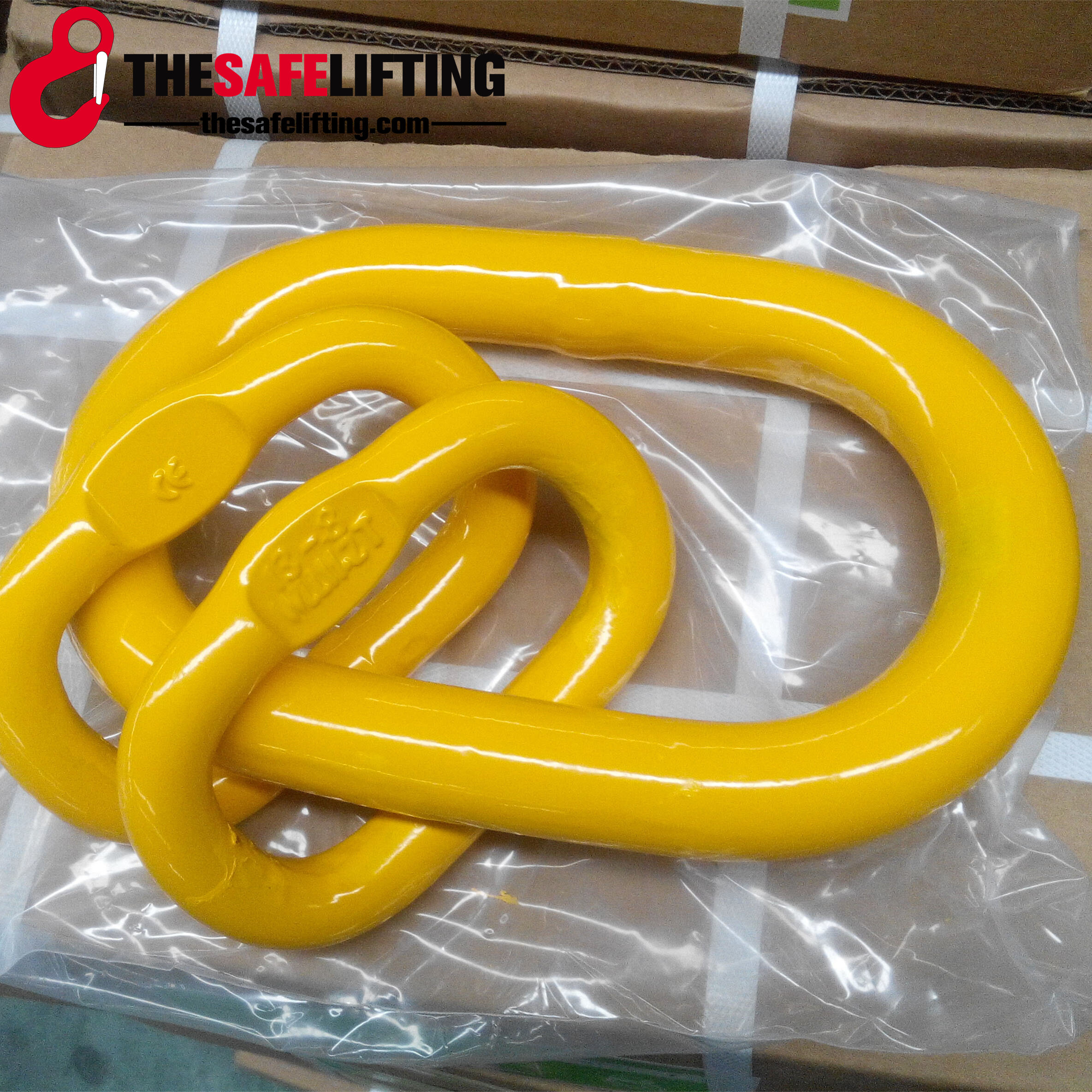 Thesafelifting company overview - view 4