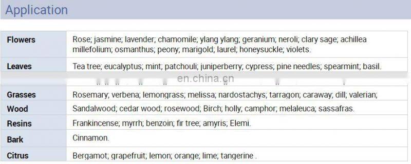 10-30L Wormwood essential oil distillation equipment