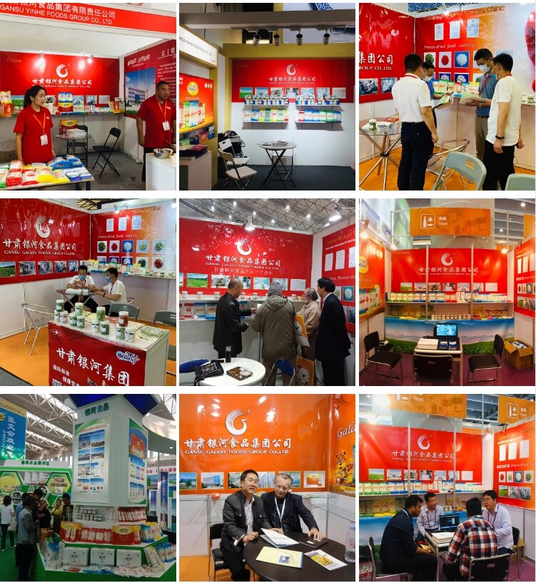 Gansu Yinhe Foods Group Co.,ltd company overview - view 2